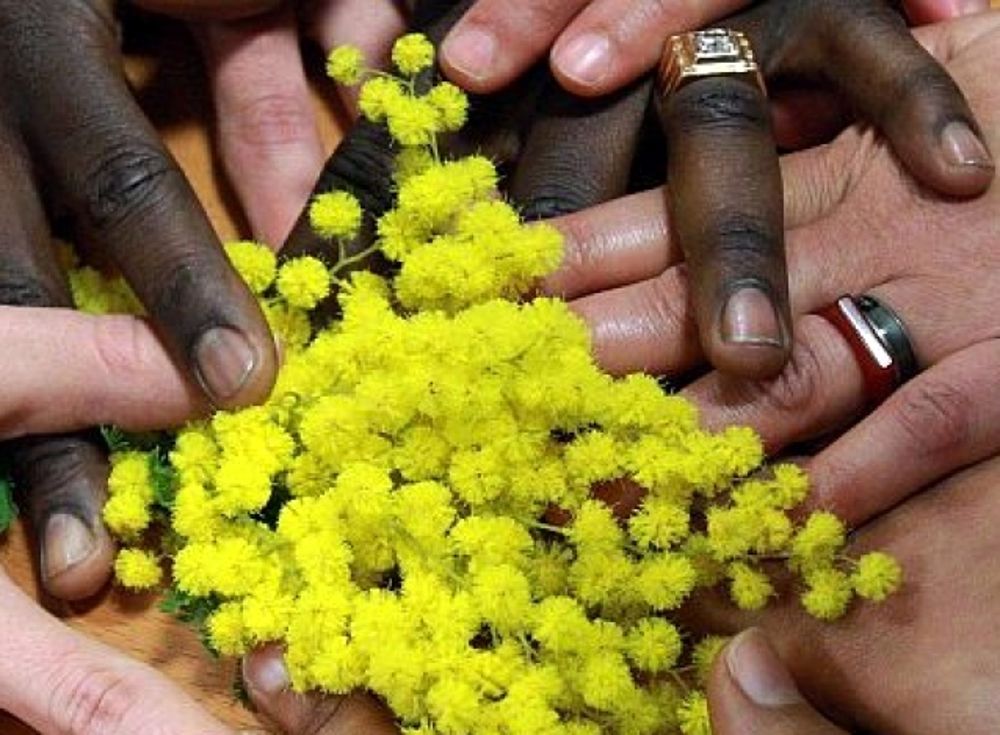 Riscossione: Ade-R, firmato il protocollo su molestie e violenza di genere