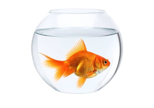 Bancari in Sciopero: i nuovi volantini