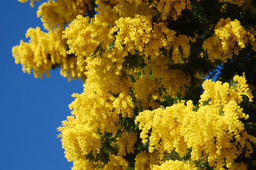 Donne: buon 8 marzo a tutte!