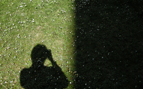La qualità sacrificata sull’altare della crisi