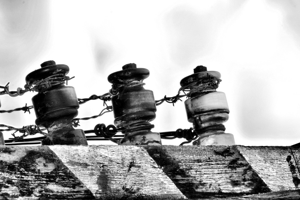 27 gennaio – Giornata della Memoria