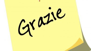 BCC: ESITO DELLE ELEZIONI RAPPRESENTANTI DEI DESTINATARI DELLA CASSA MUTUA NAZIONALE – maggio 2024