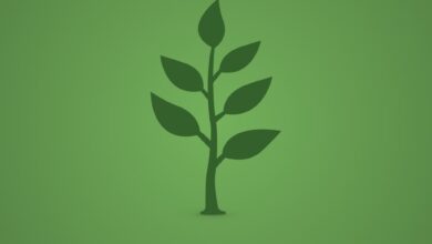 Fondi Pensione, chi vuol far saltare il clima